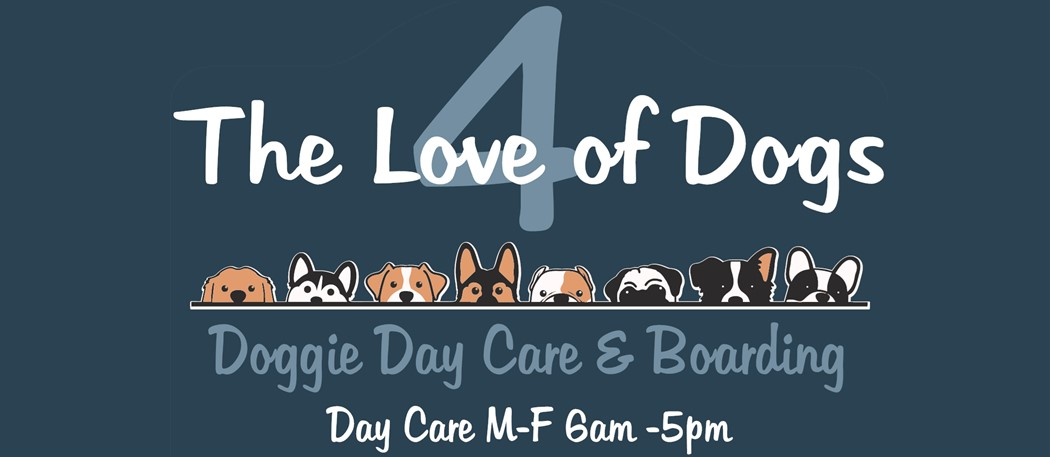Dog Boarding 3 Dogs Per Room